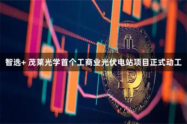 智选+ 茂莱光学首个工商业光伏电站项目正式动工