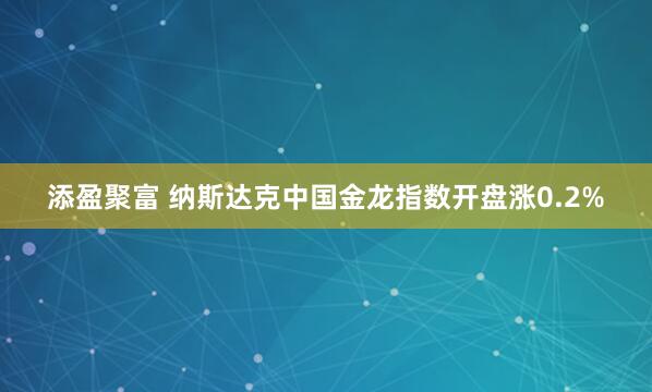 添盈聚富 纳斯达克中国金龙指数开盘涨0.2%