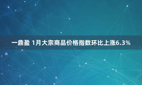 一鼎盈 1月大宗商品价格指数环比上涨6.3%