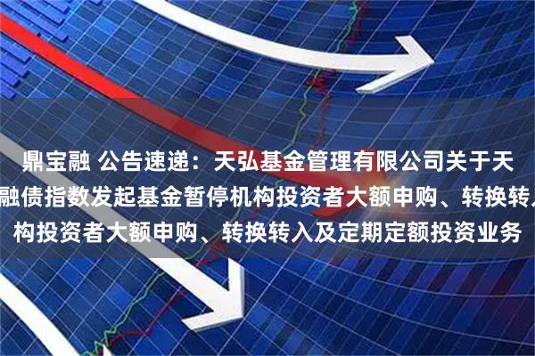 鼎宝融 公告速递:天弘基金管理有限公司关于天弘中债1-5年政策性金融债指数发起基金暂停机构投资者大额申购、转换转入及定期定额投资业务
