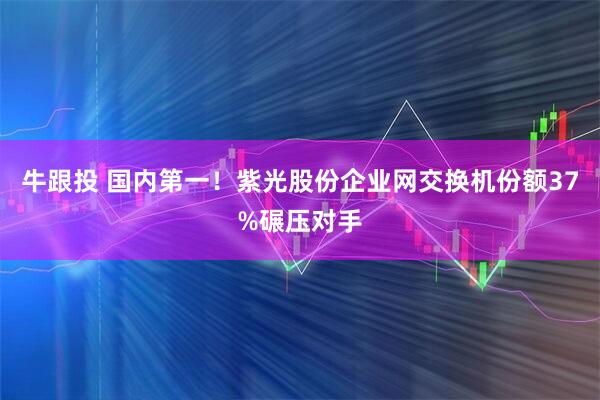 牛跟投 国内第一！紫光股份企业网交换机份额37%碾压对手